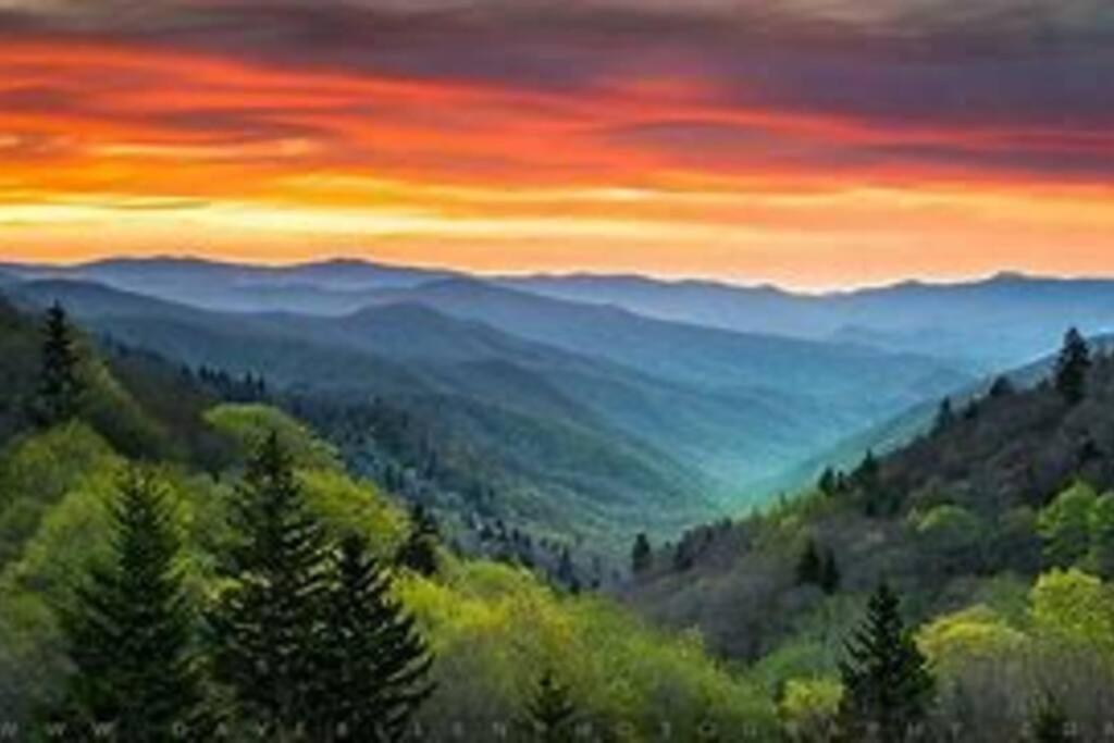 1 Mi To Dollywood Mins To All Attractions & Gsmnp Sevierville Exterior foto