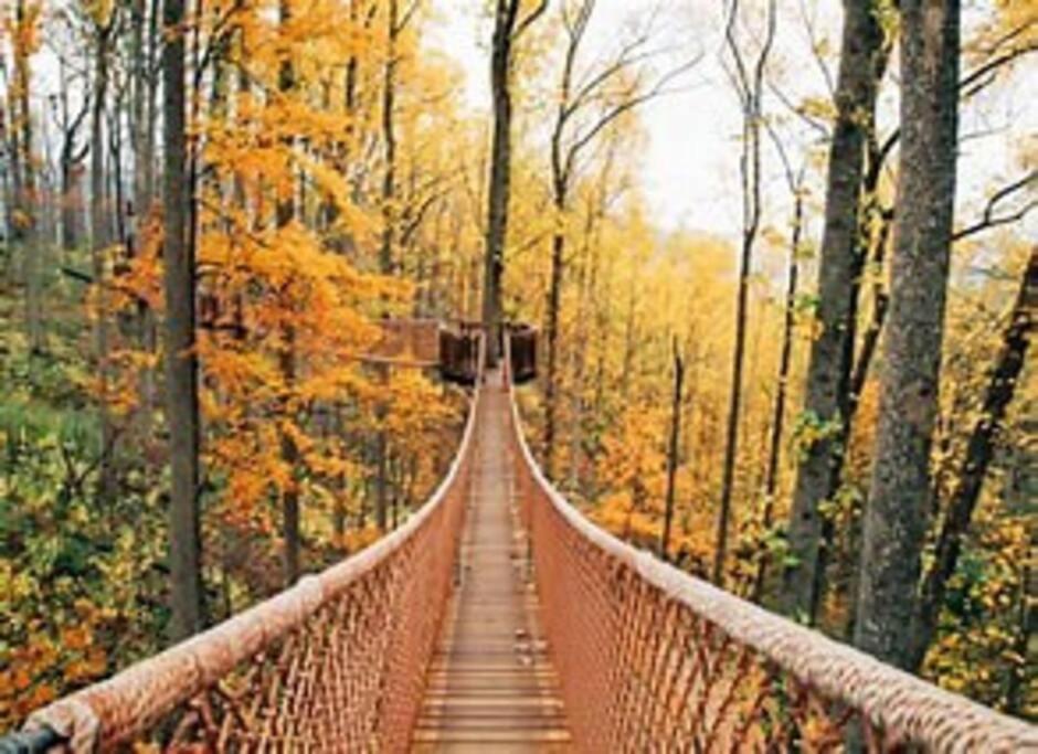 1 Mi To Dollywood Mins To All Attractions & Gsmnp Sevierville Exterior foto